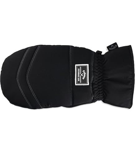 Amazon.co.jp: [タイトリスト] ツアーポンポン ビーニー TH23WTP-0C1