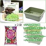 イタリア野菜の種 レタスサラダ栽培セット(グリーン) 家庭菜園