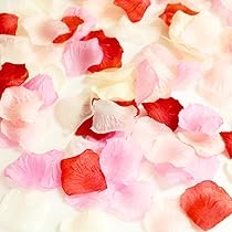 61yqeMZlSQL._AC_UL210_SR210,