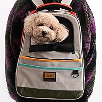 61ysJVAESvL._AC_UL210_SR210,