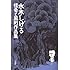 水木しげる「怪奇と風刺作品集」