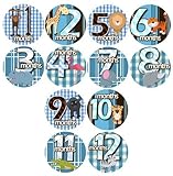1-12 Month Onesie Stickers - WILD ANIMALS Onesie Stickers Baby Shower Gift Photo Shower Stickers, Ba