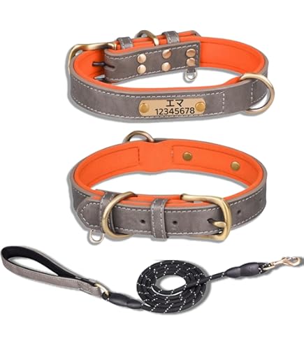 美品 COACH 小型犬用首輪 XS ピンク シグネチャー チャーム付き