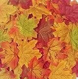 senswalan人工メープルリーフ、500個リッチFall Colored Leaves 10色マルチカラーミックスや結婚式用デコレーションまたはクリスマスパーティー