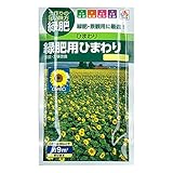 緑肥用ひまわりの種 約9平米分×3袋セット[春まき 土壌中の菌根菌を増やす！][タネ] ノーブランド品