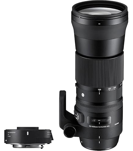 Amazon.co.jp: Canon 望遠ズームレンズ EF200-400mm F4 L IS USM