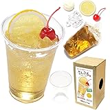 元祖食品サンプル屋【公式】自分で作る食品サンプルキット さんぷるん ドリンク vol.6 ジンジャーエール レプリカフード 手作り DIY 自由工作
