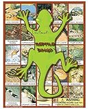 Reptile Bingo Game [並行輸入品]
