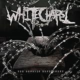 SOMATIC DEFILEMENT [12 inch Analog]