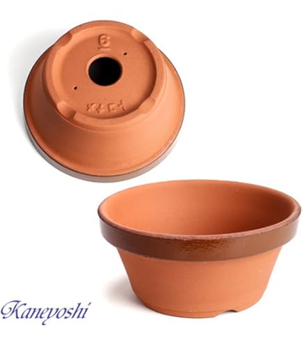 Amazon.co.jp: 鉢 KANEYOSHI 【日本製/安心の国産品質】 陶器 植木鉢