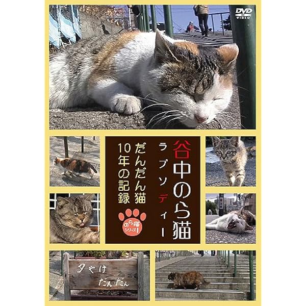 Amazon.co.jp: ネコメンタリー猫も、杓子も。2 [DVD] : 岸政彦, 真梨