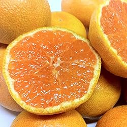 産地直送　和歌山 【訳あり】みかん 小玉 中玉（3S〜Mサイズ） ５ｋｇ（傷あり、サイズ不揃い、ご自宅用)　【固定サイズになる場合あり】