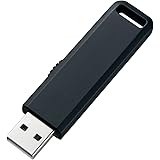 サンワサプライ(Sanwa Supply) USB2.0 メモリ 2GB ブラック UFD-SL2GBKN