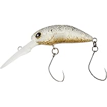 61z67R3SrEL._AC_UL210_SR210,