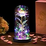 Glass Preserved Eternal Rose,Rose Flower in Glass Dome with LED String Lights Unique Gifts Rose Lamp Romantic Night Light for