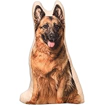 61z7OFSOCGL._AC_UL210_SR210,