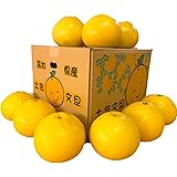 文旦 土佐文旦 4L～3L 混合 5kg 大玉限定 (約１０玉前後入り) ご家庭用 (贈り物にも) 高知県産 露地土佐文旦 5キロ ぶんたん 3L4L 【家庭用５キロ ４L３L混合 土佐文旦】