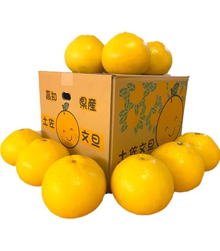 Amazon.co.jp: 文旦 土佐文旦 4L 3L混合 大玉限定 (16玉前後入り) ご
