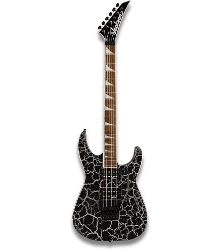 Amazon | Schecter シェクター Guitar Research C-6 Deluxe with Floyd
