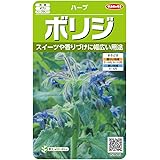 サカタのタネ 実咲ハーブ8085 ボリジ ハーブ 00928085