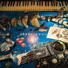 ���𐾂��� / USAGI