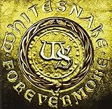 �t�H�[�G���@�[���A(DVD�t)