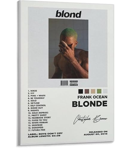 【3点セット】B2_フランクオーシャン　ポスター Amazon.co.jp: フランクオーシャンアルバムポスター オフィス ベッド
