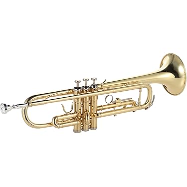 Amazon.co.jp 売れ筋ランキング: 管楽器セット の中で最も人気の