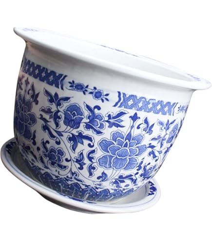 Amazon.co.jp: 青と白の磁器 蘭プランター 植木鉢 受け皿付き 屋内用