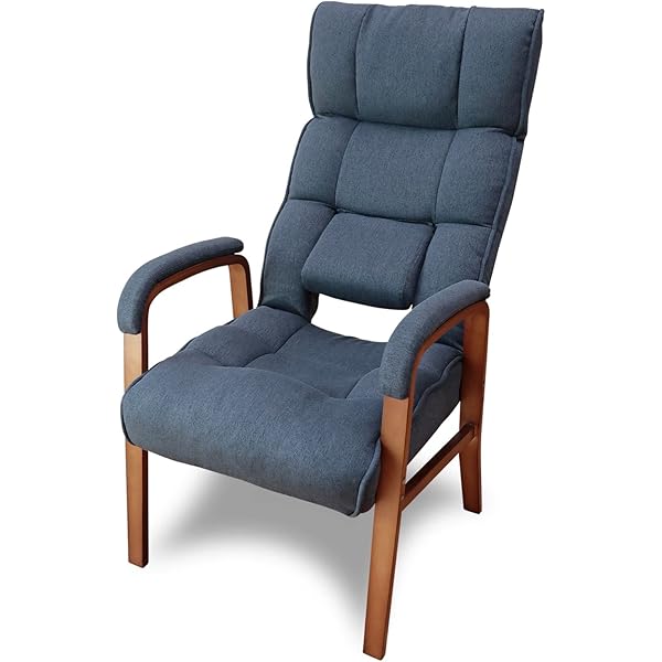 Amazon.co.jp: フランスベッド 背中が曲がった人向けの椅子 高座椅子