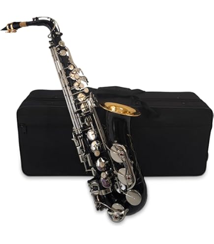 ゴールド サックス本体 ケース付き Amazon.co.jp: シルバーゴールドキーサックスBフラットテナー