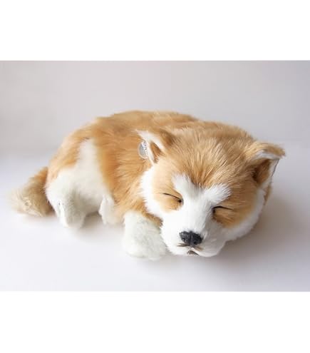 Amazon.co.jp: ニニアンドキノ パーフェクトペット (小サイズ) 柴犬