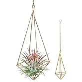 NOELAMOUR プラントハンガー アイアン エアプランツ ホルダー 吊り下げ フラワースタンド 園芸ラック 屋内屋外 全長48.5×幅8cm (ゴールド)