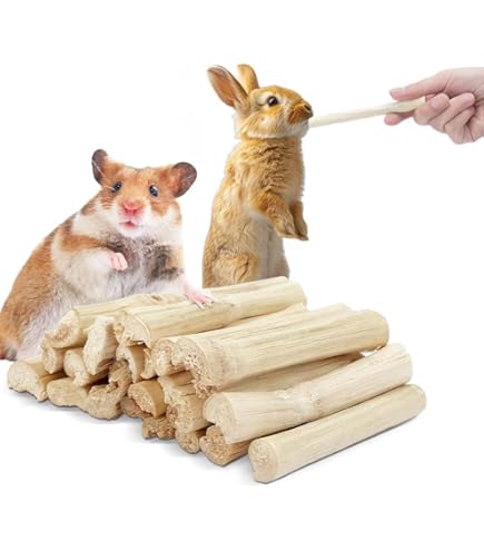 イースター　ジリスセレクションプロ　グルテンフリー750g(250g×3袋) Amazon | イースター ジリスセレクションプロ グルテンフリー