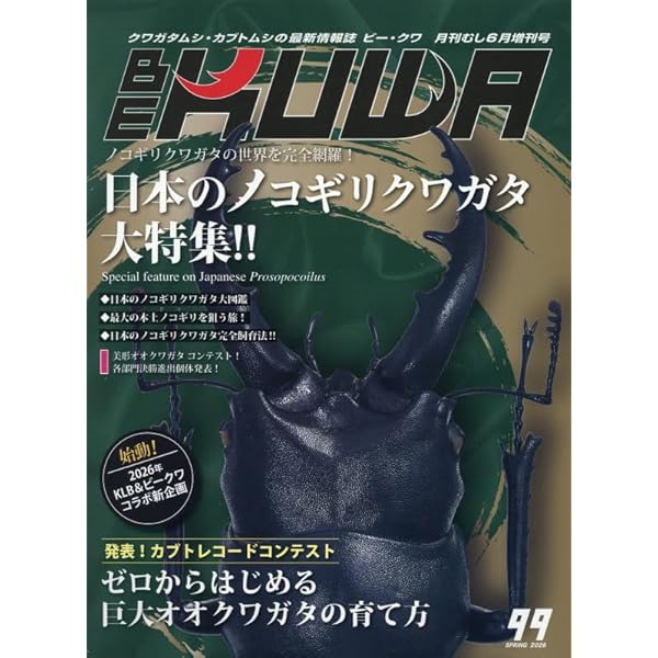 Amazon.co.jp: 魅惑のクワガタ : 本