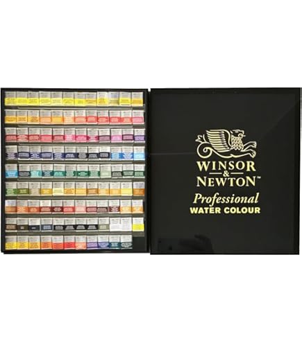 新品プロフェッショナル　ウィンザー&ニュートン　透明水彩絵の具　固形12色セット W&N プロフェッショナルウォーターカラー 12色セット｜画材