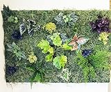 【人工観葉植物】【壁面緑化】【グリーンパネル】【壁掛グリーン】【幅90ｃｍ縦60ｃｍ】【軽量】【送料無料】【触媒加工済】】【強力両面テープ付何処でも簡単設置】【ttp-112】