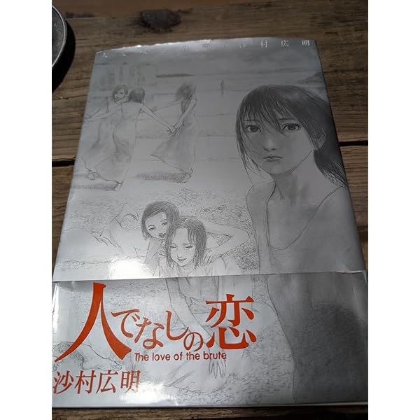 ★初版 沙村広明 人でなしの恋 画集 HIROAKI SAMURA 人でなしの恋 The Love of the brute(沙村広明) / 古本、中古本、古