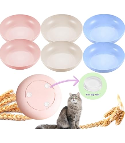 s Hillban Pcs Ceamic Shallow Cat Food Dish Set, 6'' Plates Cat Bowl