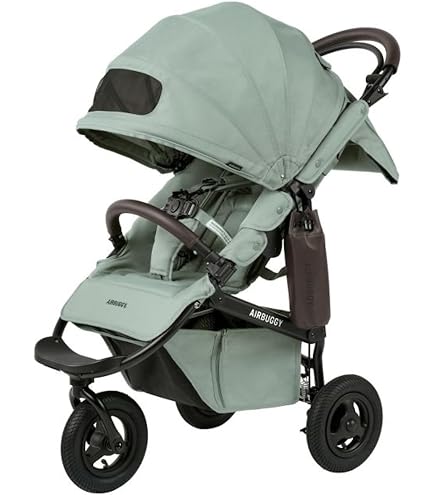 Amazon.co.jp: AirBuggy(エアバギー) ココ プレミア フロムバース COCO