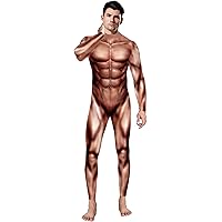 スクワット　フィギュア　ボディビル　ムキムキ スクワット フィギュア ボディビル ムキムキ - メルカリ