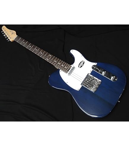Amazon | SCHECTER OL-TE-2H-FXD DRD R シェクター テレギブ スタイル