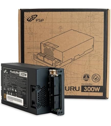 Amazon | Silverstone Technology FX600z プラチナ サイベネティクス