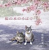 ���̖؂̂��΂�