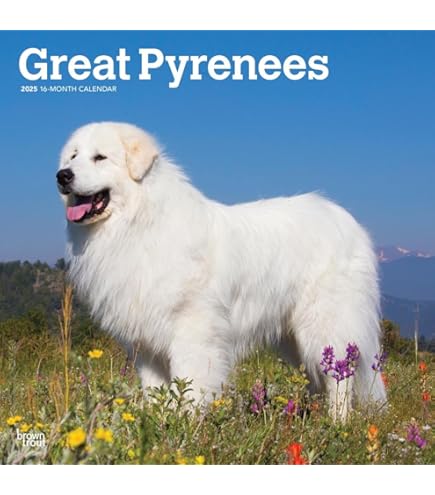 【入手困難】グレート・ピレニーズ 2024 カレンダー 犬 かわいい 2024年 グレート・ピレニーズ カレンダー - メルカリ