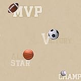 York Wallcoverings ZB3190SMP Boys Will Be Boys II Sports Ball 8-Inch x 10-Inch Memo Sample Wallpaper