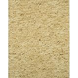 York Wallcoverings Modern Rustic Sueded Cork Wallpaper 8 X 10 Memo Sample Pale Honeydew Green/Sage G