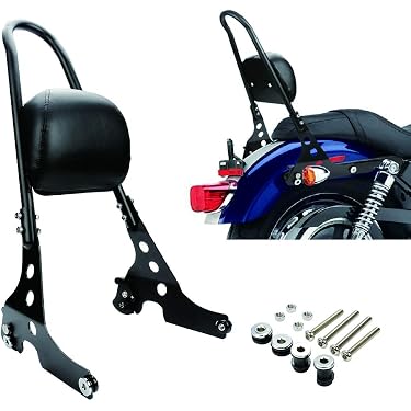 Amazon.co.jp ほしい物ランキング: バイク用バックレスト で、ほしい物