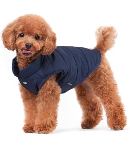 Amazon | マウンテンウォーマー ターコイズ 65 | Hakusan(ハクサン