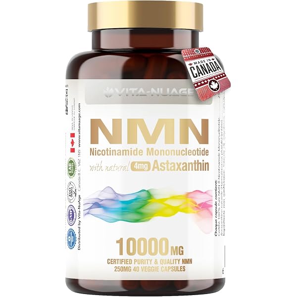 NMN サプリメント 輝きの源輝の源 NMN 12000mg ( 300mg×120粒入